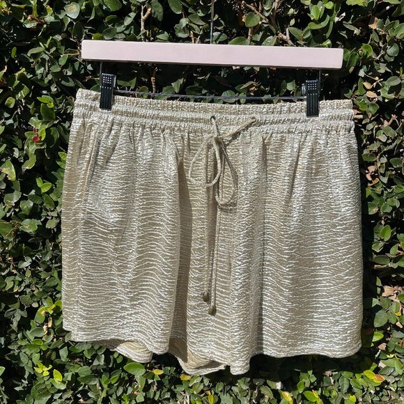 Heartloom metallic shorts (size small petite) - Picture 1 of 4